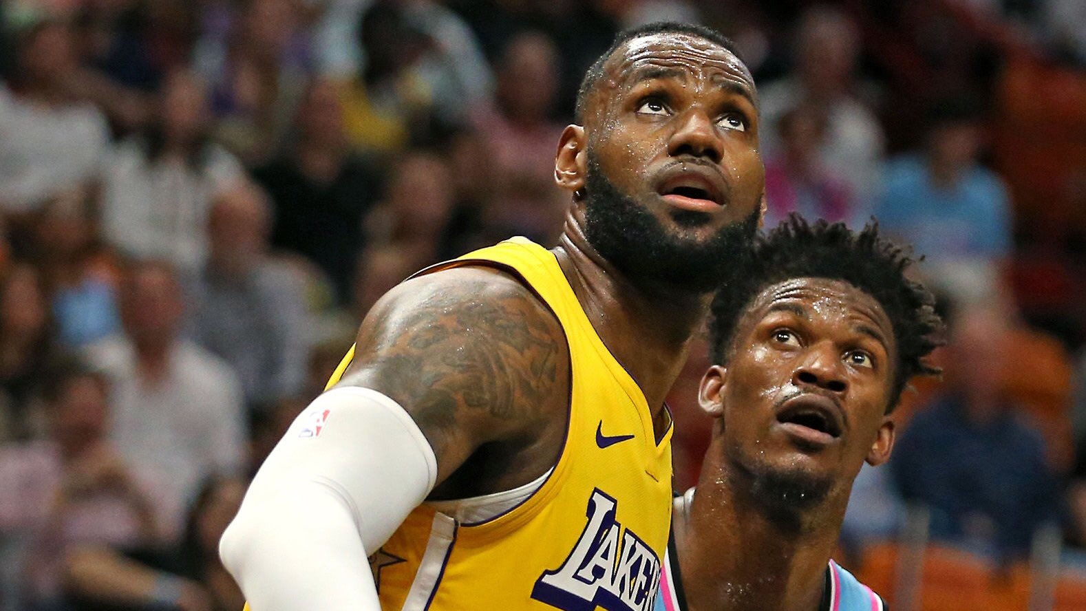 星空体育入口-掘金猛兽白色恐怖集结，愈战愈勇的简单介绍